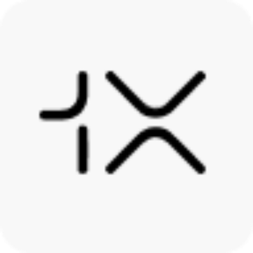 1X logo